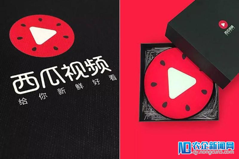 长视频成昔日头条攻占的下一个目的