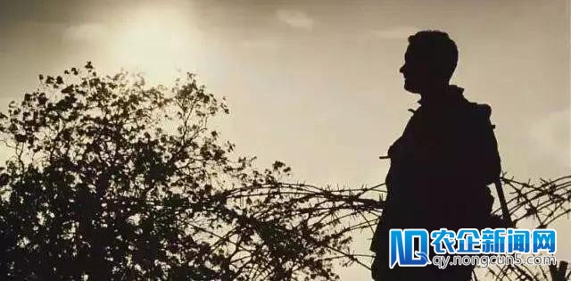 共享单车来了 却援救不了我们