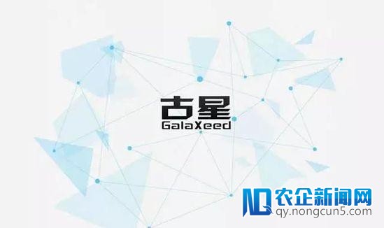 古星联手深绘智能：引入AI产品与技术驱