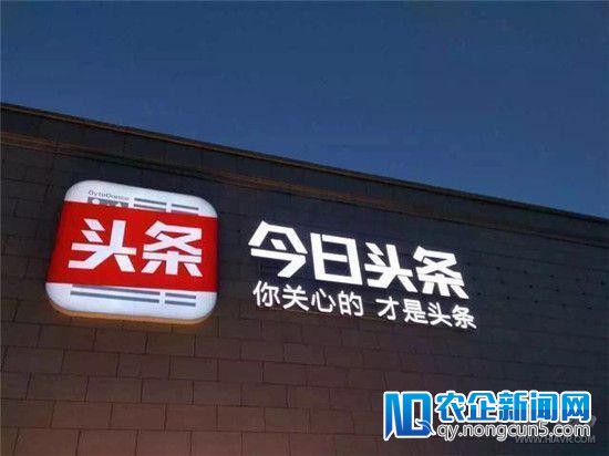 昔日头条收买VR视频直播处理方案研发商