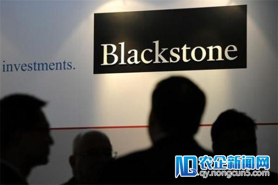 黑石剖析师：加密货币太不波动 但区块