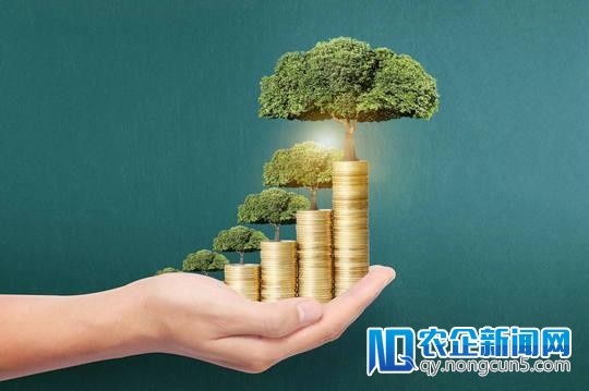 互联网理财规模增五成 网贷机构春节理