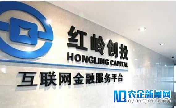 背负110亿巨量“包袱”，红岭如何经过