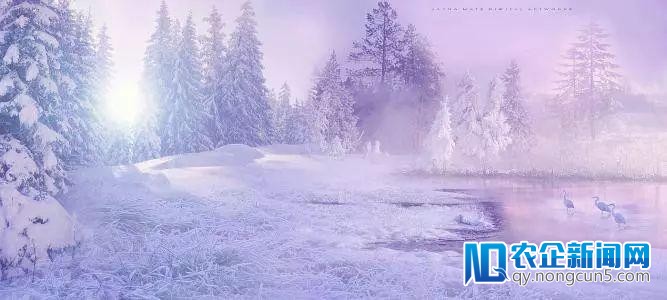 P2P平台往年还撒币不？