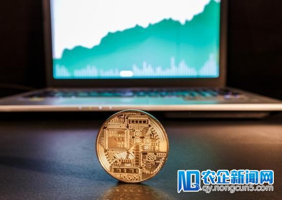 中国投资人三点钟不睡，国外风投却在排