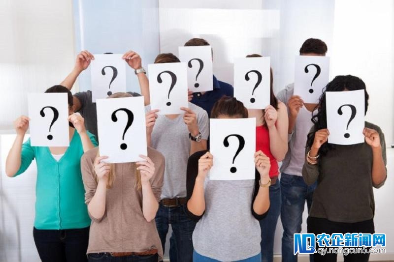 布比联创杨帆：十问区块链幕后“玄机”