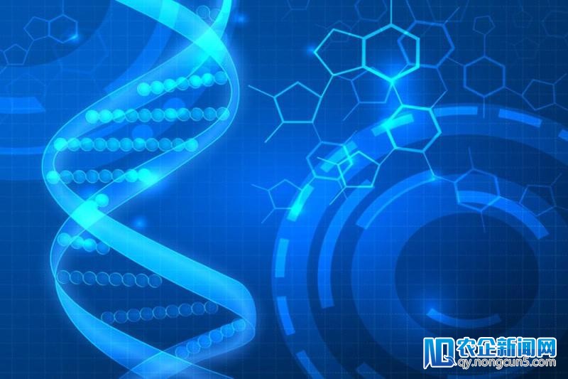 89个肿瘤药物上市：肿瘤药物研发走向何