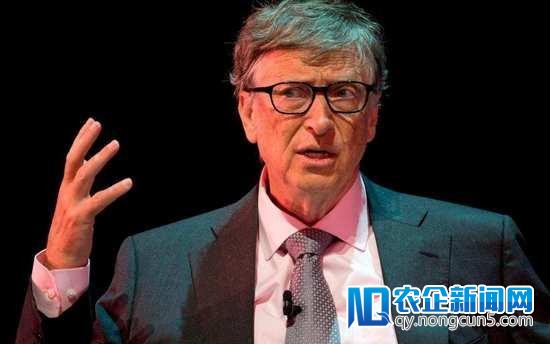 盖茨批加密货币：直接形成死亡的稀有技