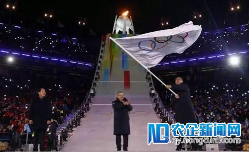 北京8分钟的“冰屏”为什么不是OLED？