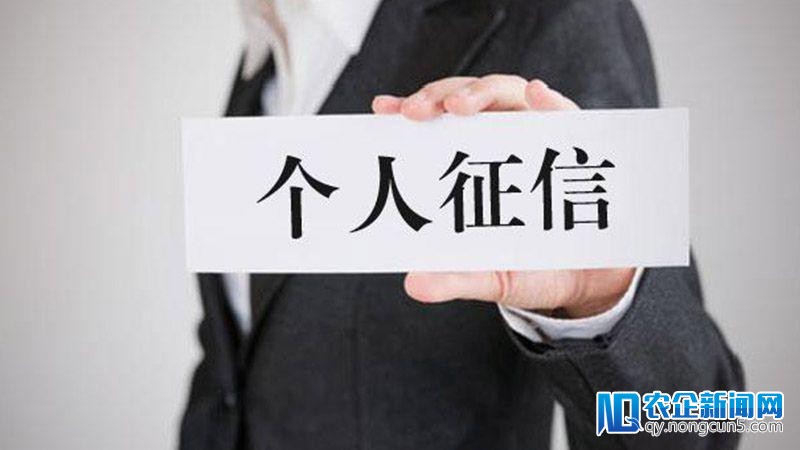 团体征信业务逐渐放开 但隐私平安存在