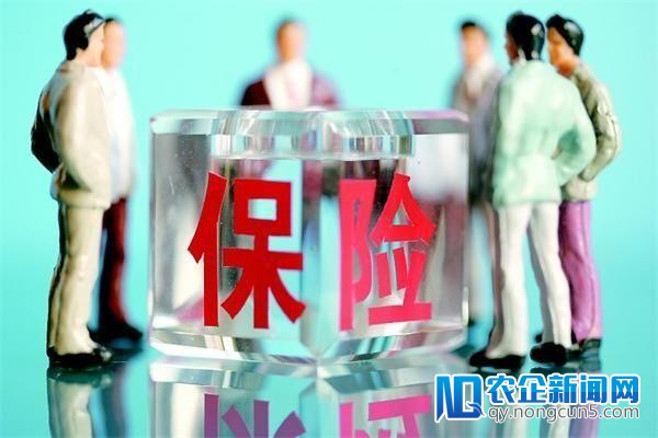 四大上市险企1月寿险保费总数据出炉 时