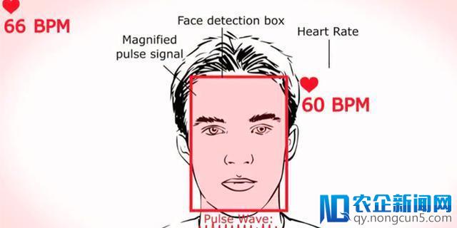 看TA的心跳 微软用HoloLens实现远程生理学测量