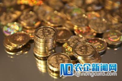 数字货币神话般造富 投资者遇到山寨币