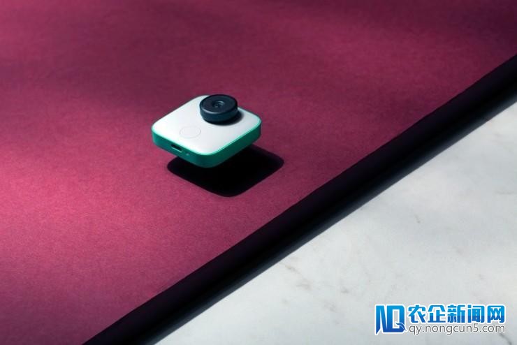 AI 相机 Google Clips 正式开卖，我们
