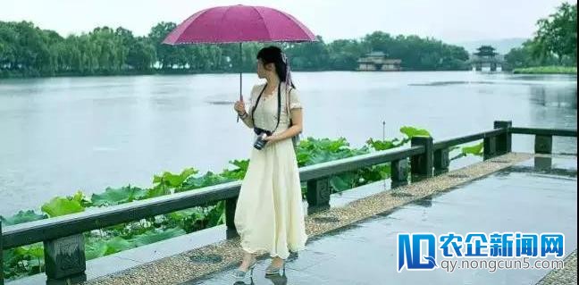 逃离北京 拥抱杭州