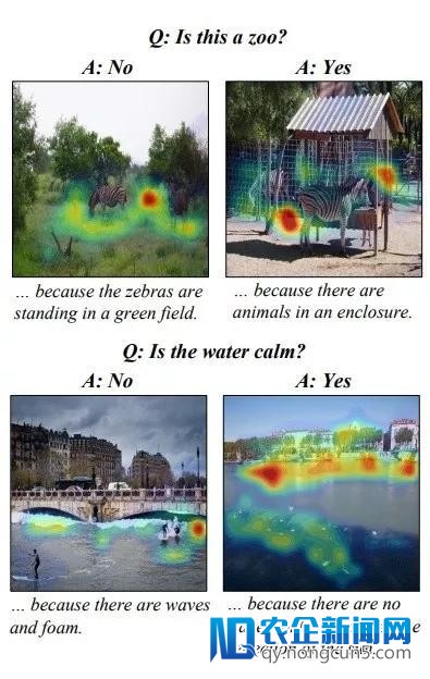 再见 AI 黑匣子：研讨人员教会AI停止自