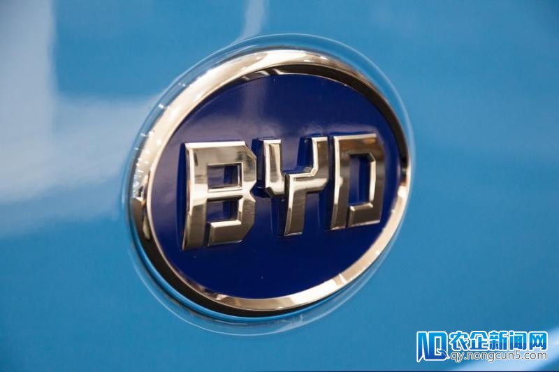 面对销量与利润下挫，比亚迪的2018还能