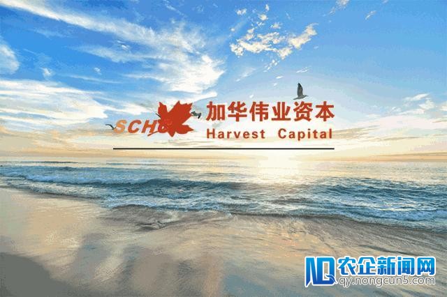 宋向前：致敬时代最好的方式，就是发明