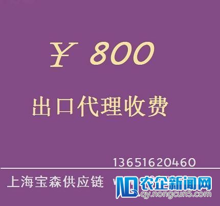 车好多集团完成8.18亿美元C轮融资，往