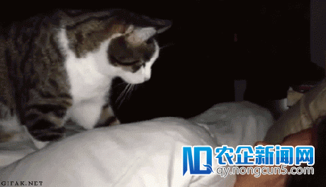 解救起床困难症患者，让这些 App 帮你