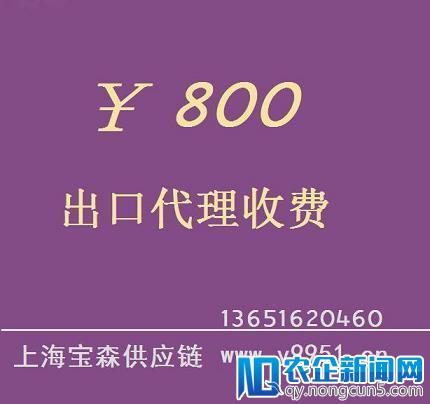 车好多集团完成8.18亿美元C轮融资，今年向2个方向发力