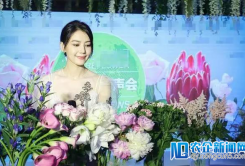 嘉丰瑞德：王健林1亿小目标，高圆圆玩