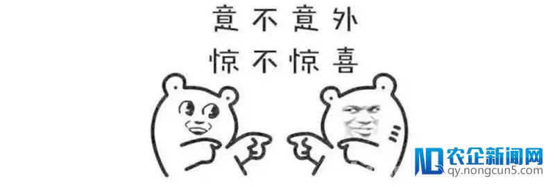 你能够不晓得，独身狗是不配过元宵节的