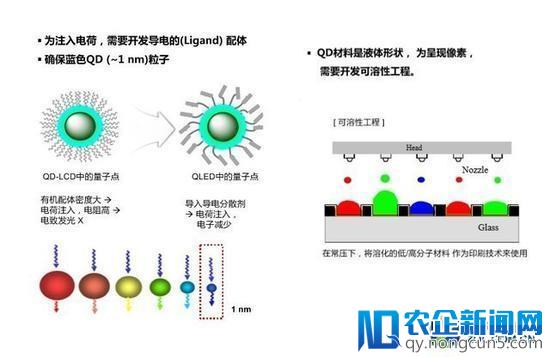 媒体称2018年电视产业趋势：“自发光”才是未来