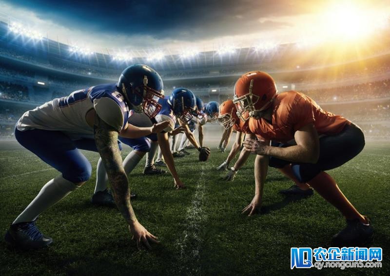 昔日头条内测挪动办公产品，对标钉钉和