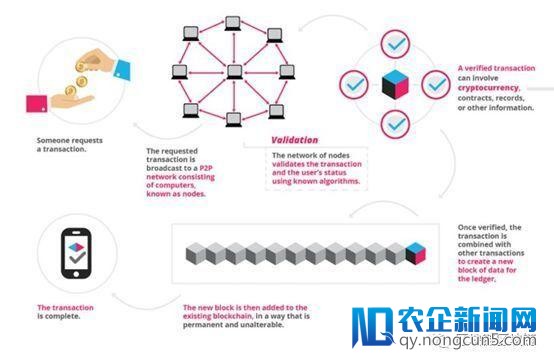 关于区块链的10个罕见成绩，这里有一份