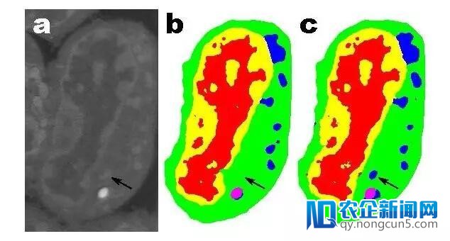 「极简机器学习」，从大批数据中学习准