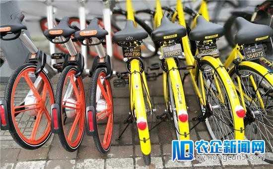 摩拜ofo跌价了，共享单车市场竞争或才