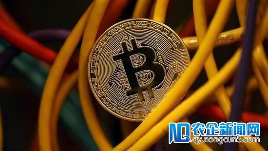 冰岛600台比特币矿机被盗 警方紧密监视