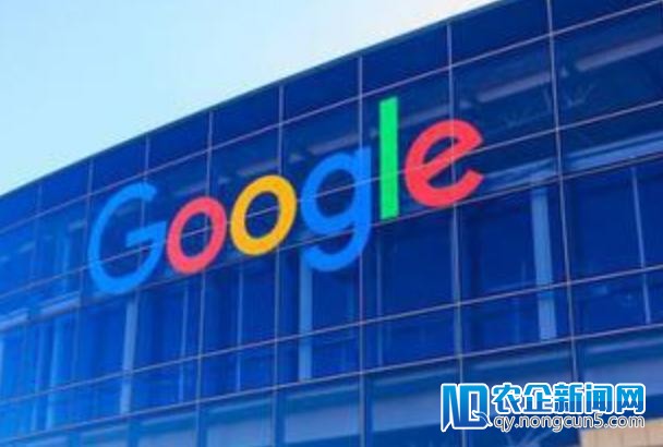 因抗命被辞退的前谷歌HR：谷歌对白人和