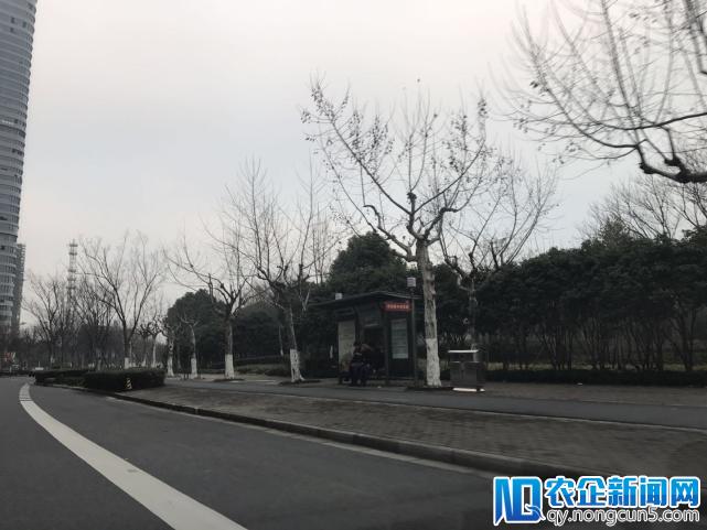 智能驾驶测试道路实地探查：行人闯红灯、电瓶车抢道，咋办？