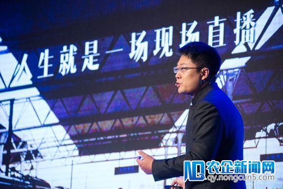 一个失败的创业者想说的话