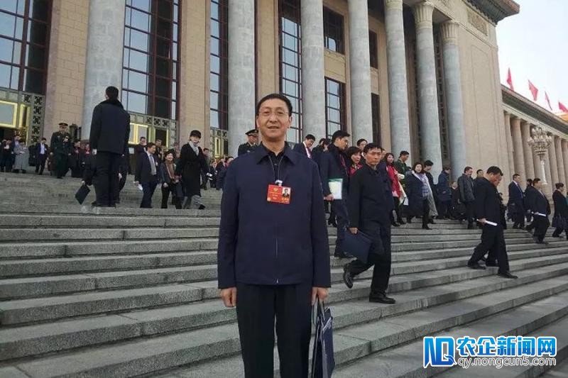 全国政协委员马旭林：鼓舞式引导和推进