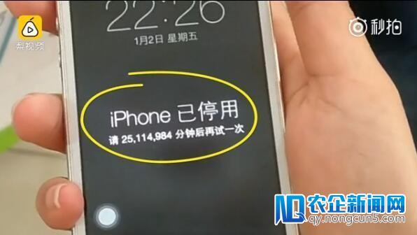 2岁娃延续输错密码 苹果iPhone提示停用