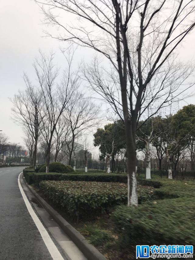 智能驾驶测试道路实地探查：行人闯红灯、电瓶车抢道，咋办？