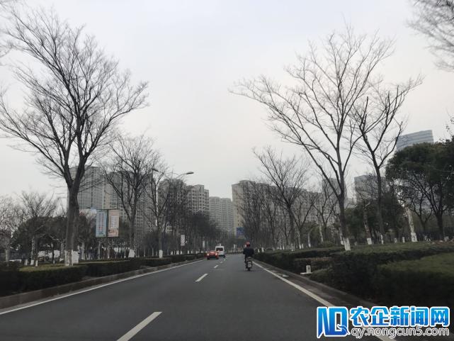 智能驾驶测试道路实地探查：行人闯红灯、电瓶车抢道，咋办？