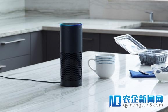 机构：到2022年美国语音购物市场规模将