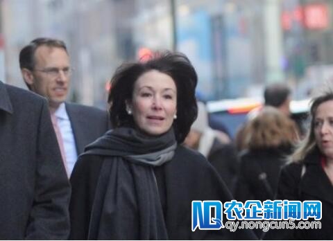 甲骨文CEO卡兹无望出任特朗普总统国度