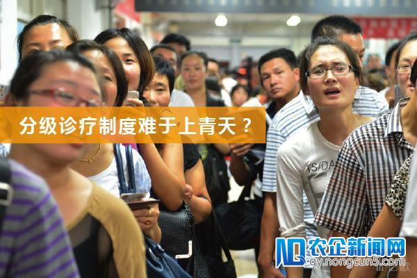 英国人玩转的分级诊疗，我们就只能看看