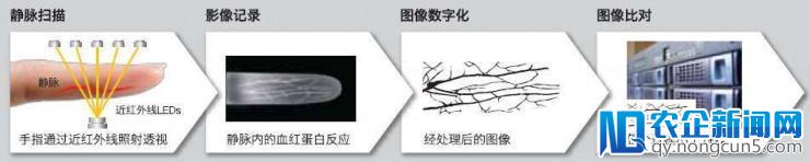 指纹识别惨遭‘橘子皮’破解，指静脉识别或成救局之道