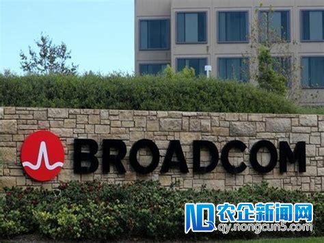 收买高通再遇应战:博通国籍成争议 称有