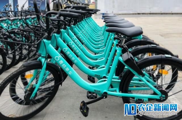 滴滴青桔单车于五个城市上线，支持免押