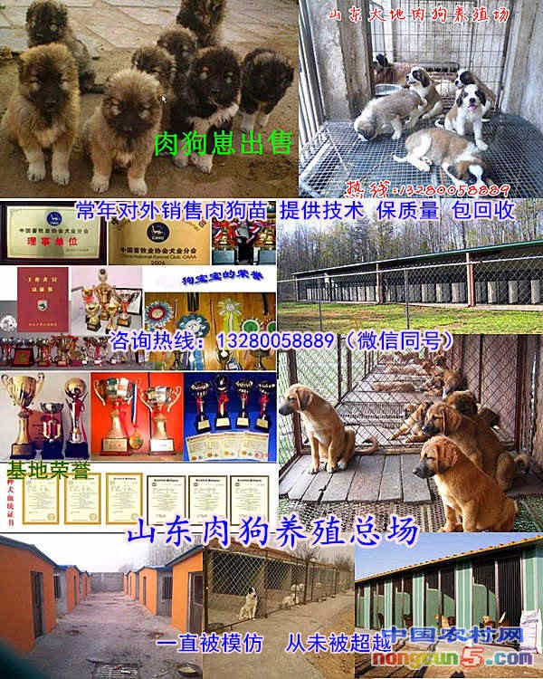 QQ截圖20170527153519_副本_副本