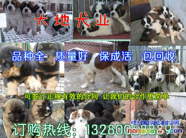 E~8B9W(C1KXW}~8E2XP%2%3_副本_副本_副本