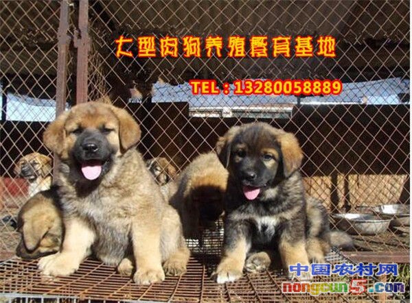 QQ截圖20180225172318