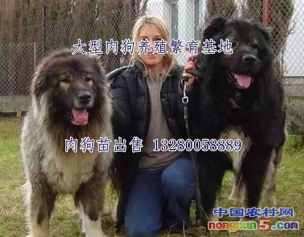 QQ截圖20180225172230